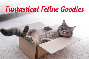 Funtastical Feline Goodies