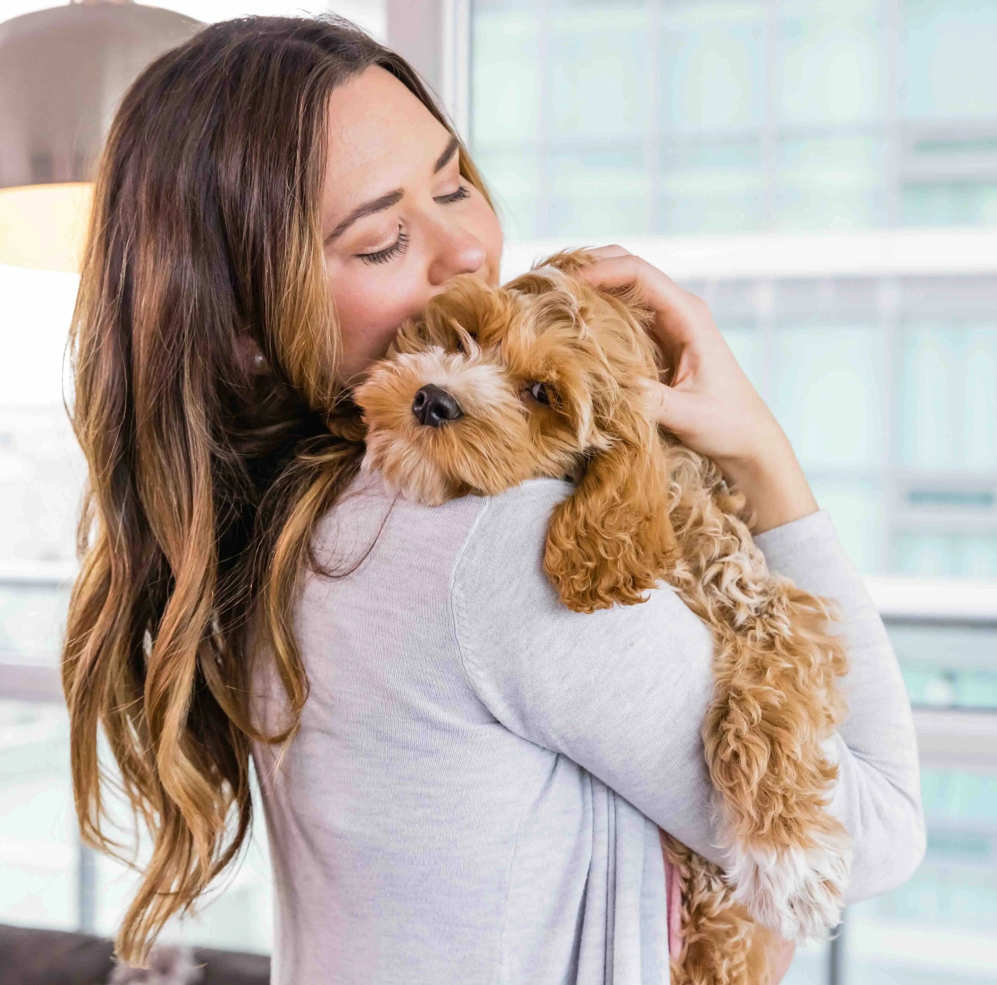 Woman hugging a small brown dog indoors