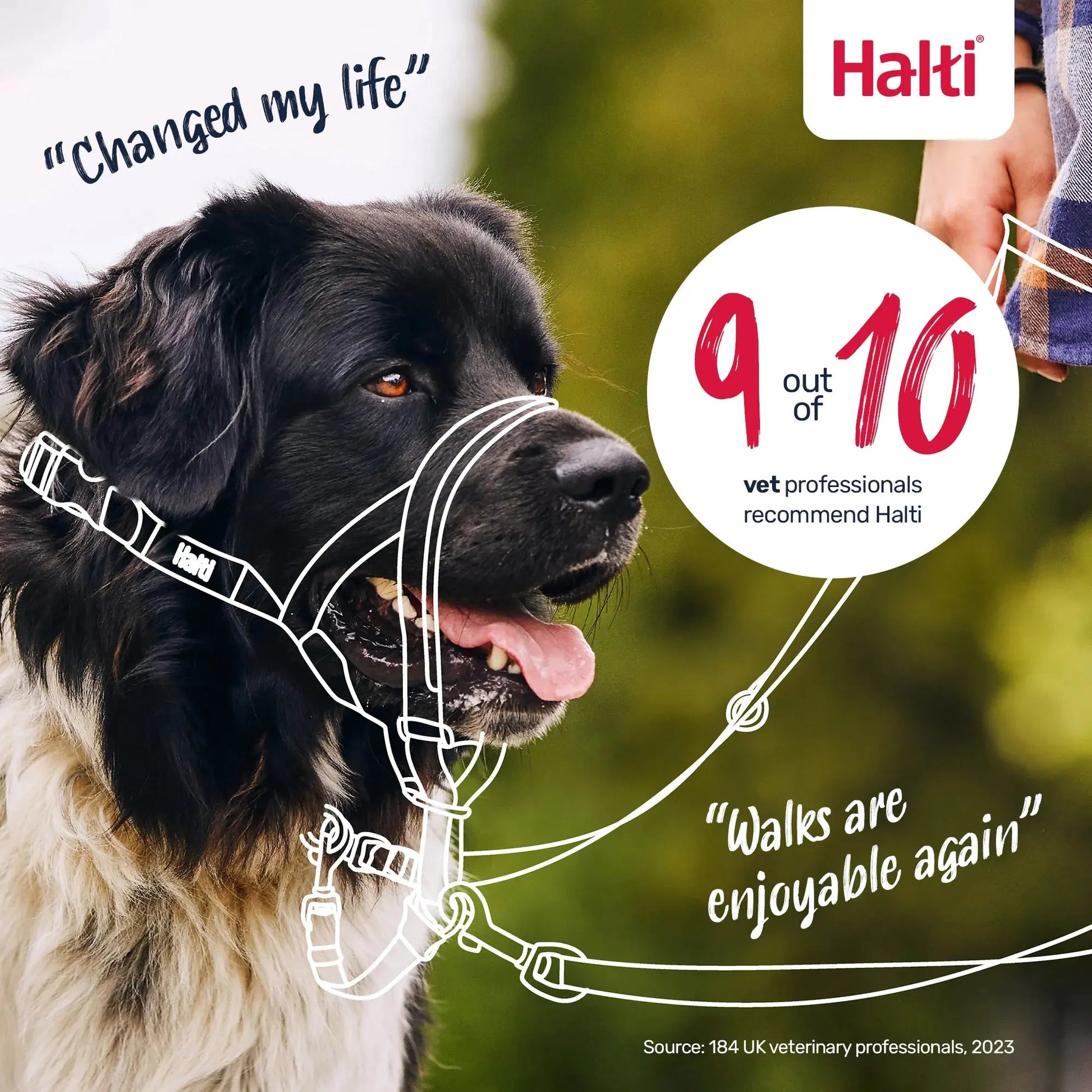 Company of Animals Halti Headcollar Company of Animals