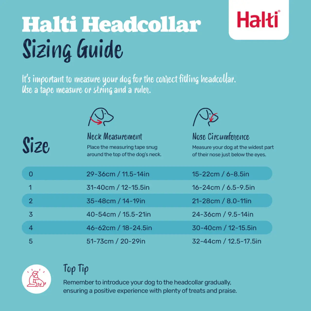 Company of Animals Halti Headcollar Company of Animals