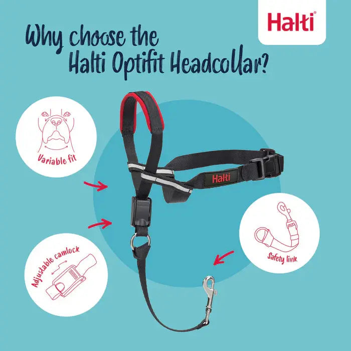 Company of Animals Halti OptiFit Head Collar Company of Animals