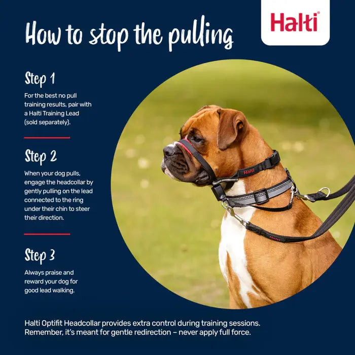 Company of Animals Halti OptiFit Head Collar Company of Animals