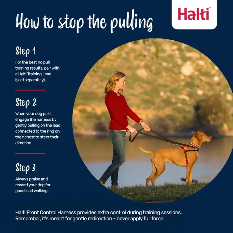 Company of Animals Halti Front Control Harness Company of Animals