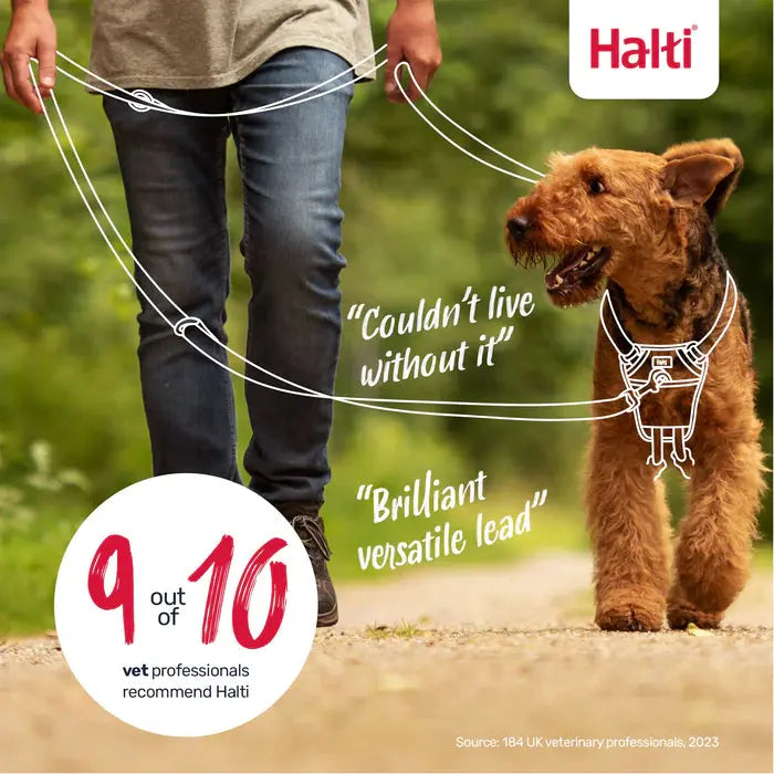 Dog owner walking with a Halti lead, showcasing its popularity among vet professionals.
