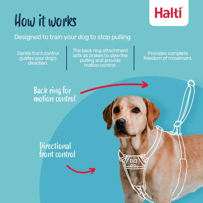 Company of Animals Halti No Pull Harness Company of Animals