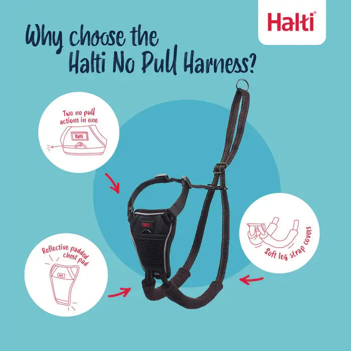 Company of Animals Halti No Pull Harness Company of Animals