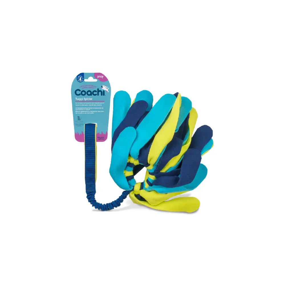 Company of Animals Coachi Tuggi Spider Dog Toy   | Canine & Co