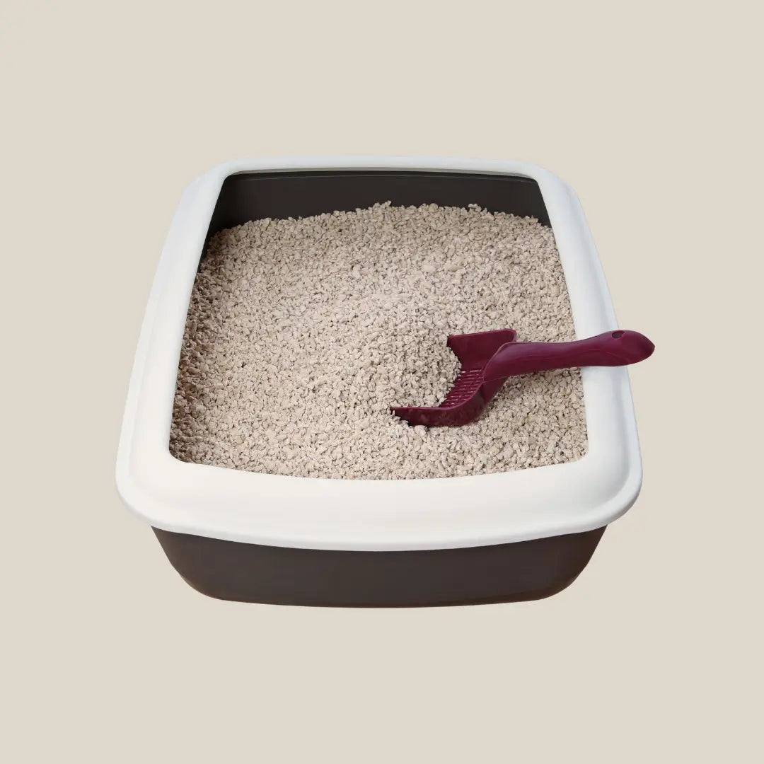 Cat Litter