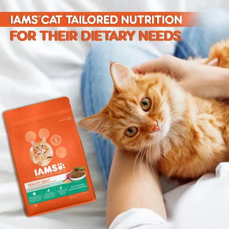Orange cat with IAMS cat food bag, promoting tailored nutrition for dietary needs.