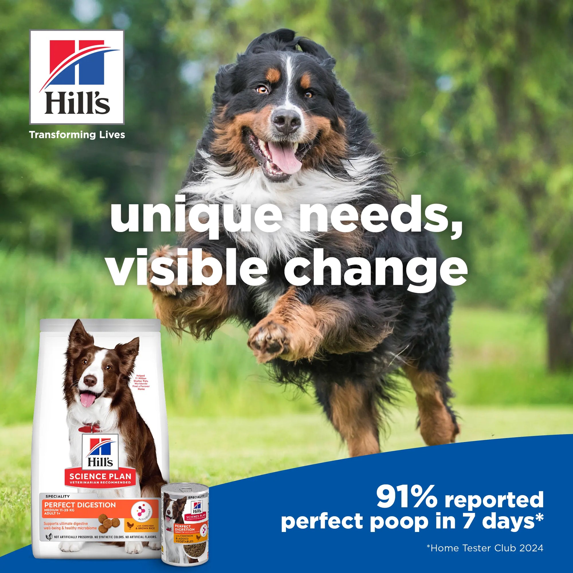 Happy dog jumping outdoors with Hill's Science Plan dog food for perfect digestion and health.