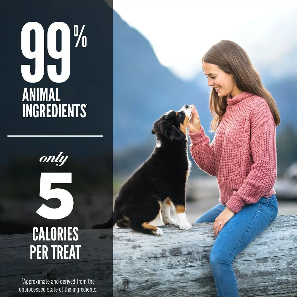 Woman feeding a puppy with a scenic mountain backdrop, highlighting low-calorie dog treats.