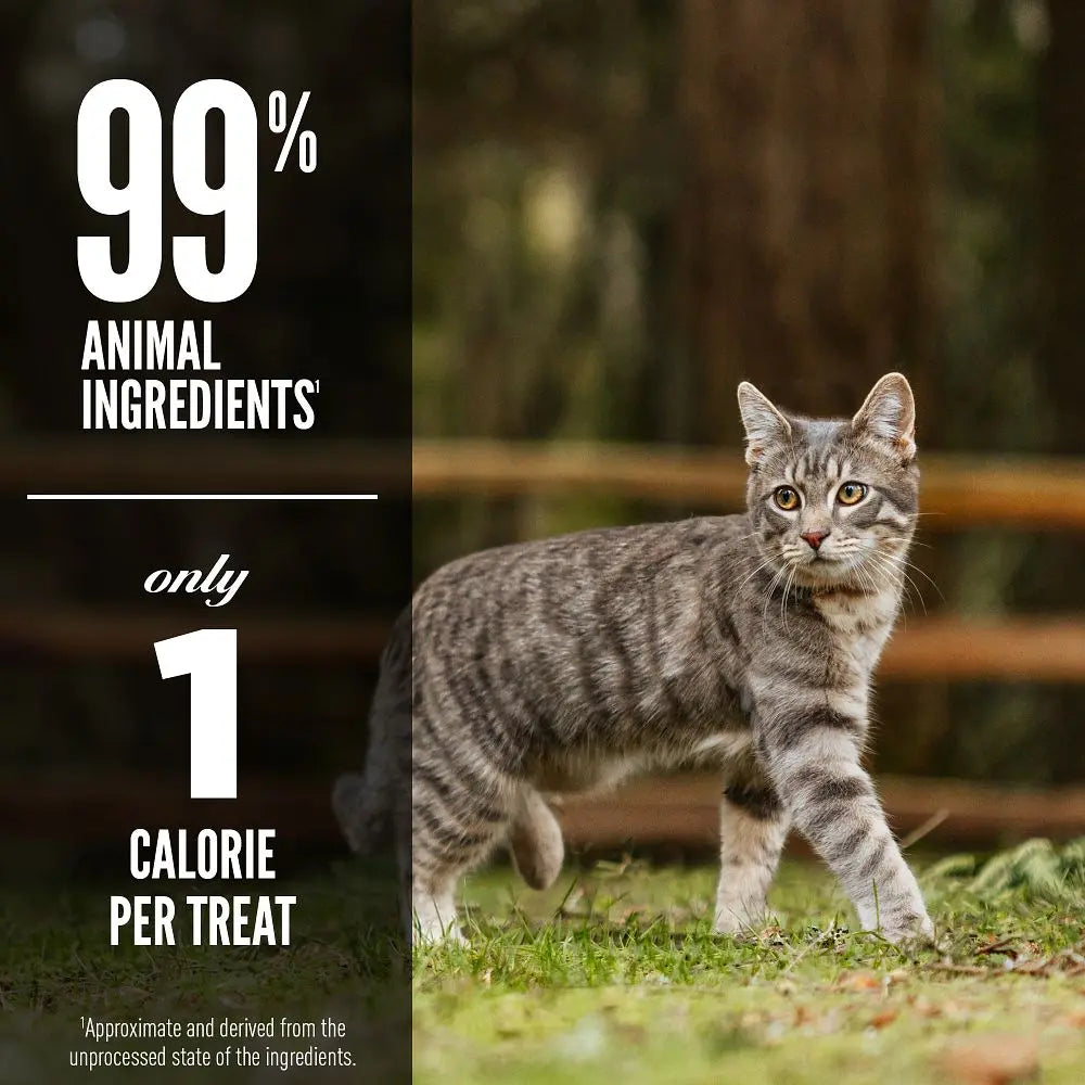 Cat treat packaging highlighting 99% animal ingredients and only 1 calorie per treat.