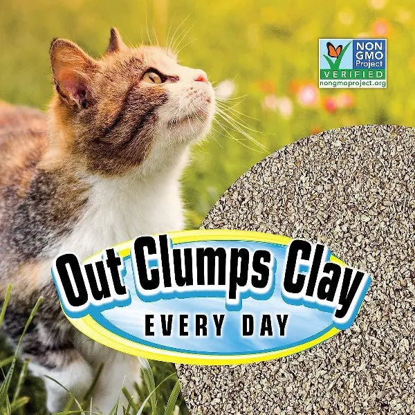 SmartCat All Natural Clumping Cat Litter   | Low Prices | Canine & Co