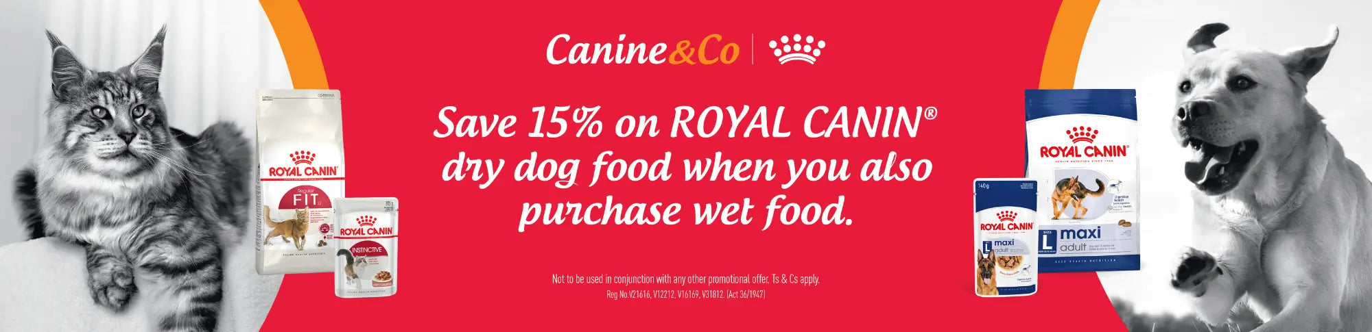 Canine & Co