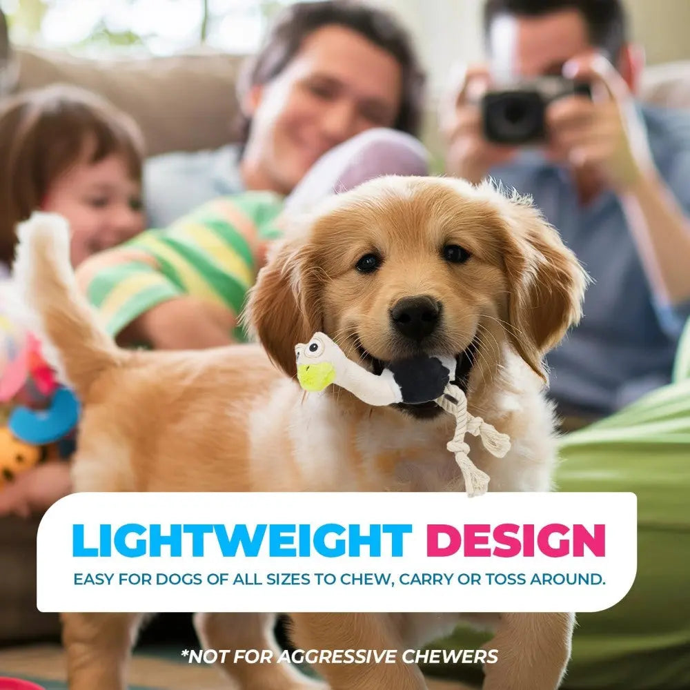 Golden retriever puppy playing with a lightweight dog toy in a family living room.