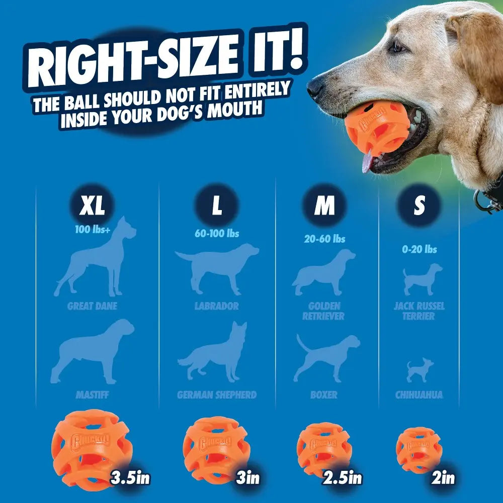 Infographic showing dog ball sizes for different breeds and weight ranges, ensuring proper fit for safe play.