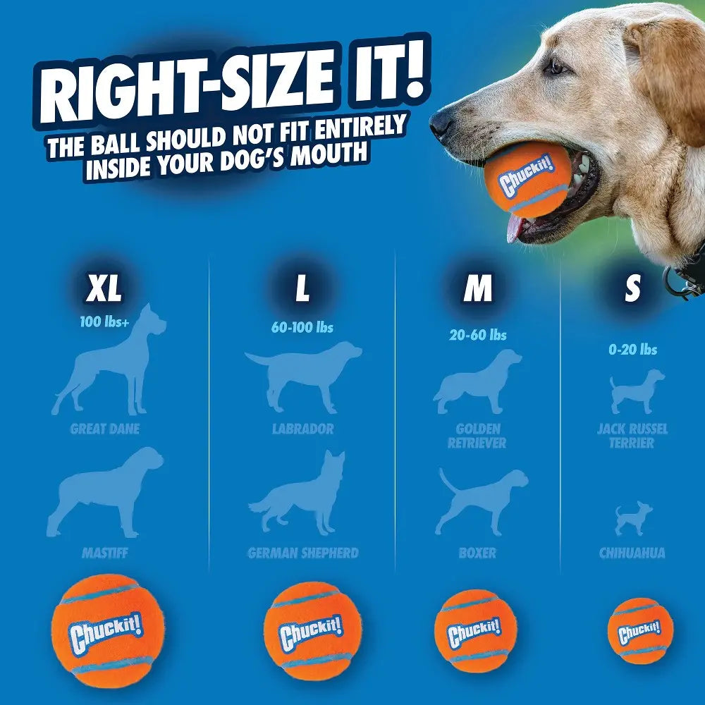 Infographic showing dog sizes and corresponding Chuckit! ball sizes for safe play.