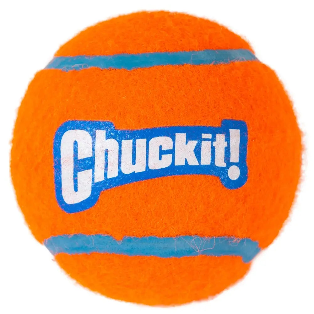 Bright orange Chuckit! ball for dogs, perfect for outdoor play and fetch activities.