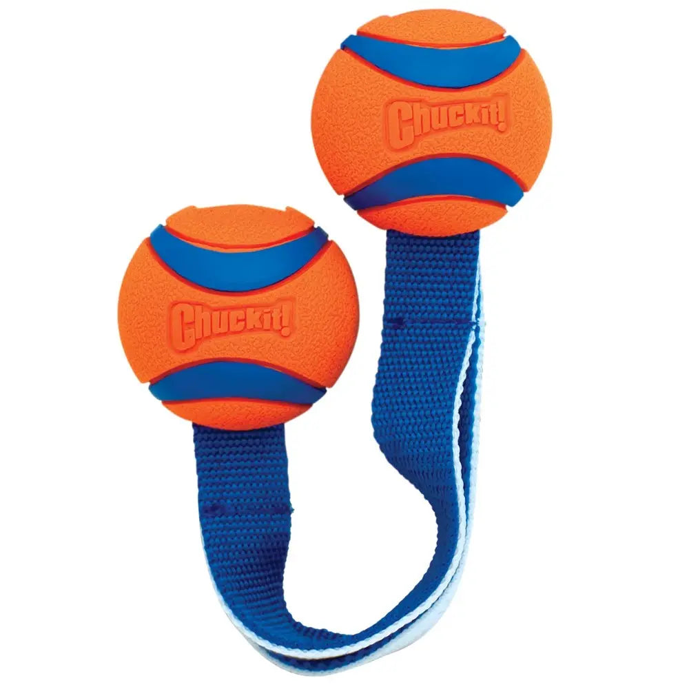 Chuckit! Ultra Duo Tug Fetch Dog Toy   | Low Prices | Canine & Co