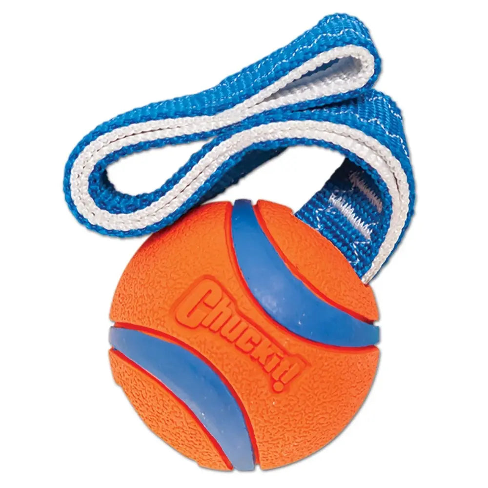 Chuckit! Ultra Tug Fetch Dog Toy   | Low Prices | Canine & Co
