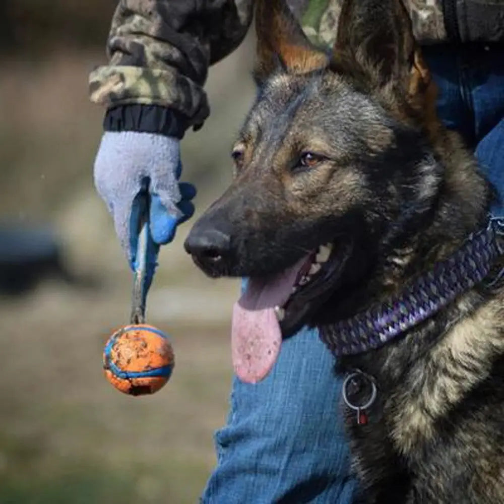 Chuckit! Ultra Tug Fetch Dog Toy   | Low Prices | Canine & Co