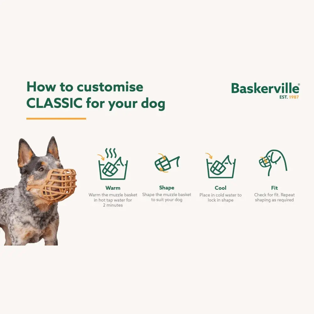 Dog muzzle customization guide with steps: warm, shape, cool, and fit for optimal comfort.