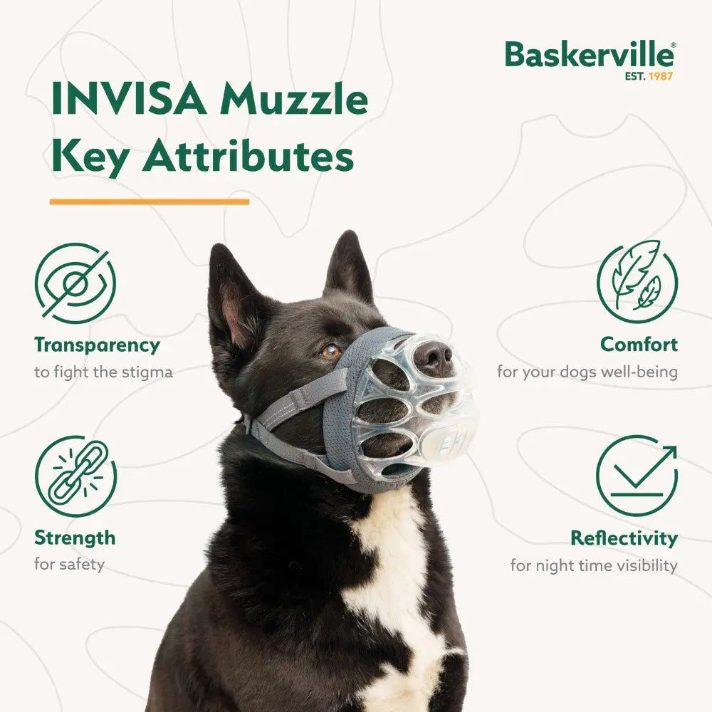 Dog wearing Baskerville INVISA muzzle, highlighting transparency, comfort, strength, and reflectivity features.
