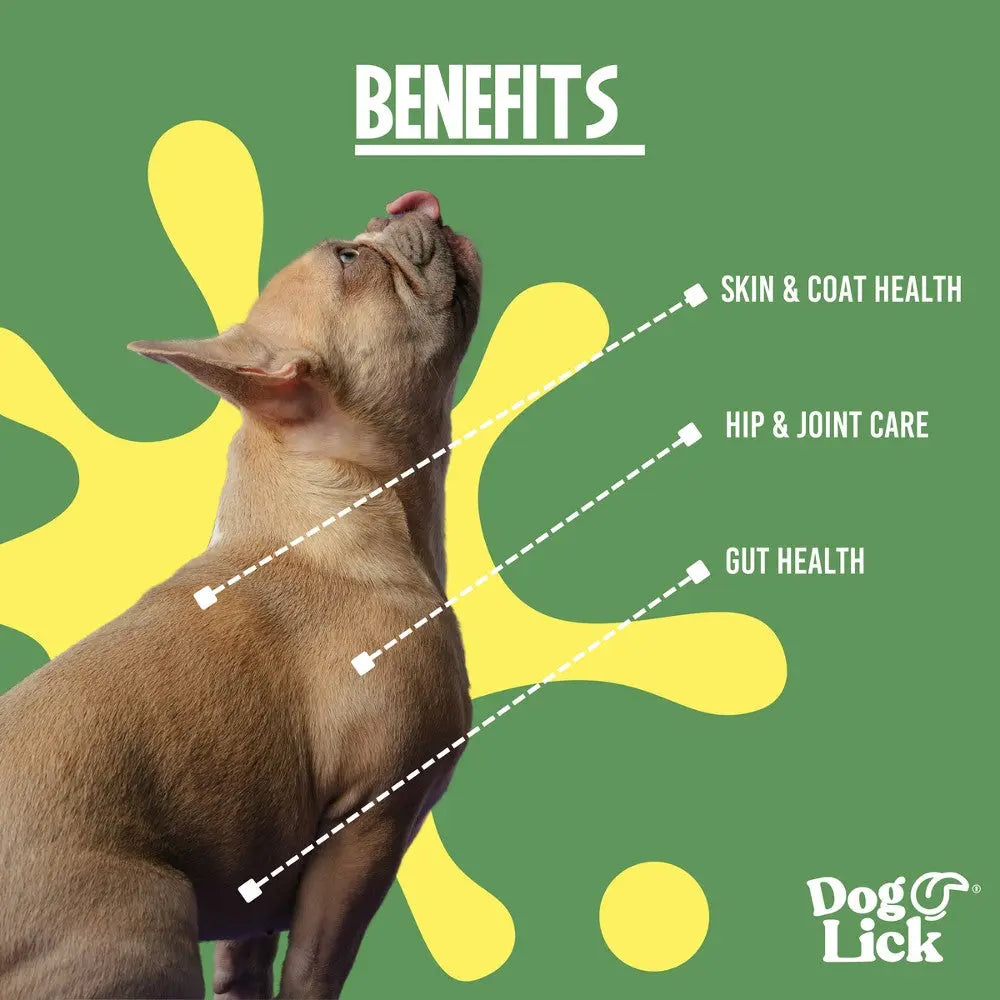 Dog Lick benefits infographic highlighting skin, joint, and gut health for pets.