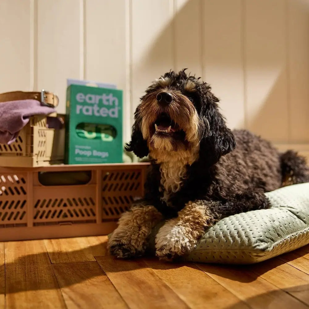 Dog resting on a cozy bed with eco-friendly poop bags and storage baskets nearby.
