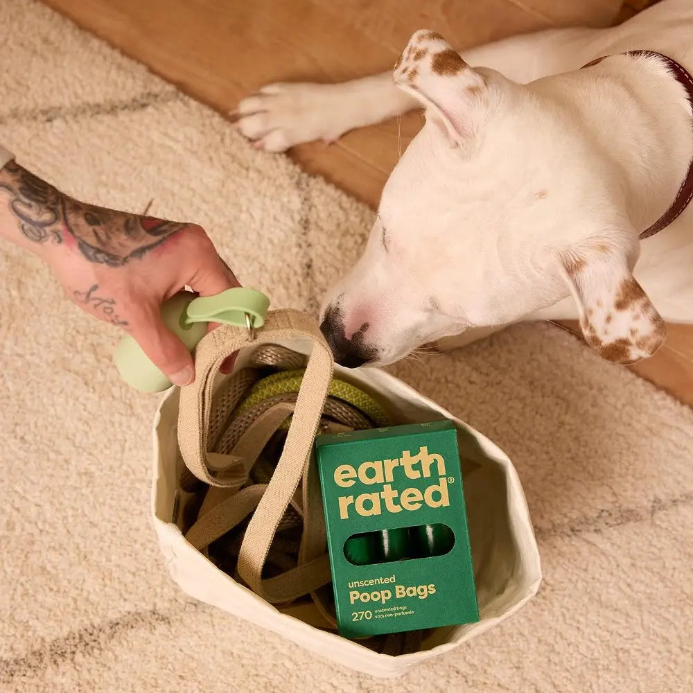 Dog sniffing a bag of Earth Rated unscented poop bags and leash on a cozy rug.