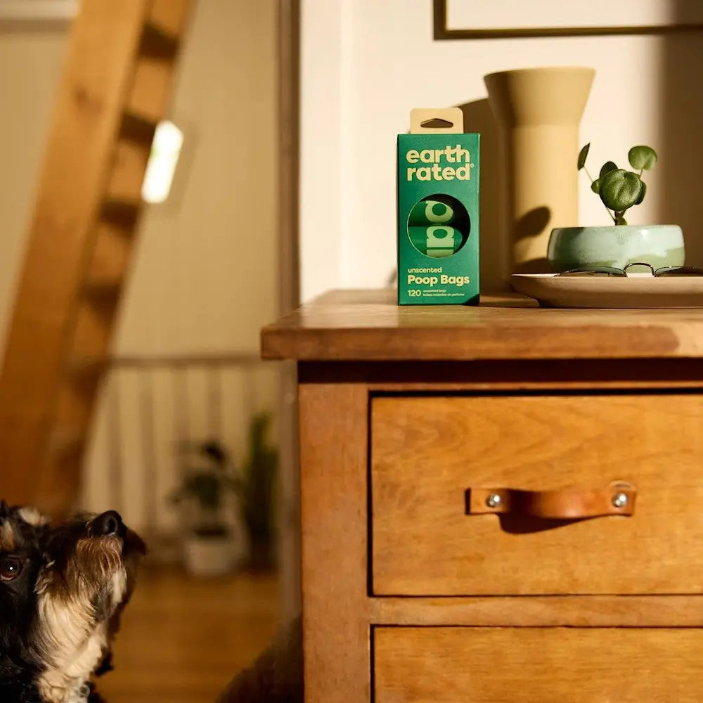 Eco-friendly dog poop bags displayed on a wooden table with a plant and decorative vase.