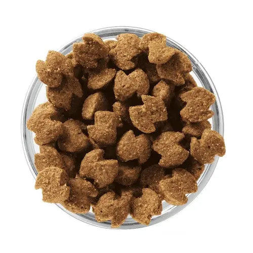 Bowl of pet food kibble shaped like leaves, ideal for nutritious feeding.