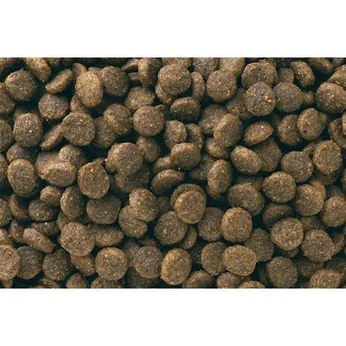 Eukanuba Small Breed Puppy Dry Dog Food   | Low Prices | Canine & Co
