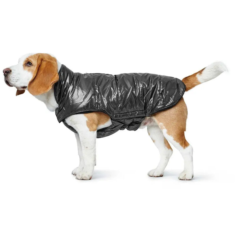 Hunter Tampere Coat Buy Dog Coats Online Canine & Co