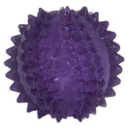 Purple spiky dog toy designed for chewing and interactive play.