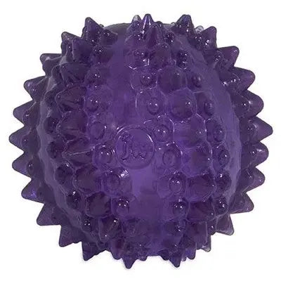 Purple spiky dog toy designed for chewing and interactive play.