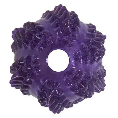 Purple textured dog toy designed for chewing and interactive play.