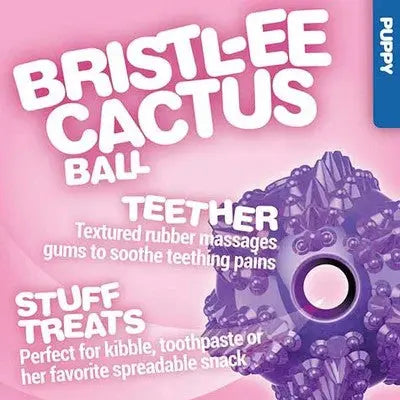 Bristle-ee Cactus Ball teether for soothing gums and stuffing with treats.