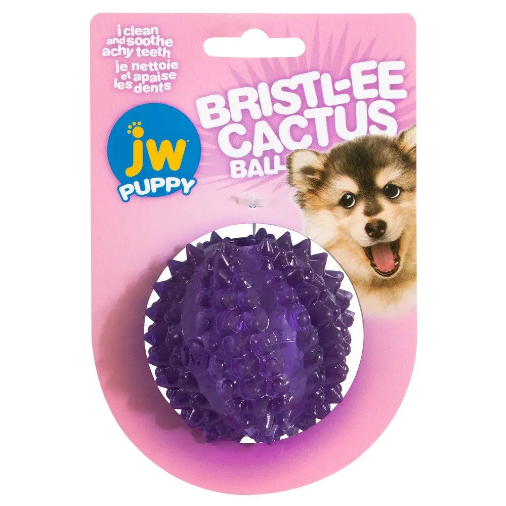 Purple cactus ball for puppies, designed to clean teeth and soothe gums during playtime.
