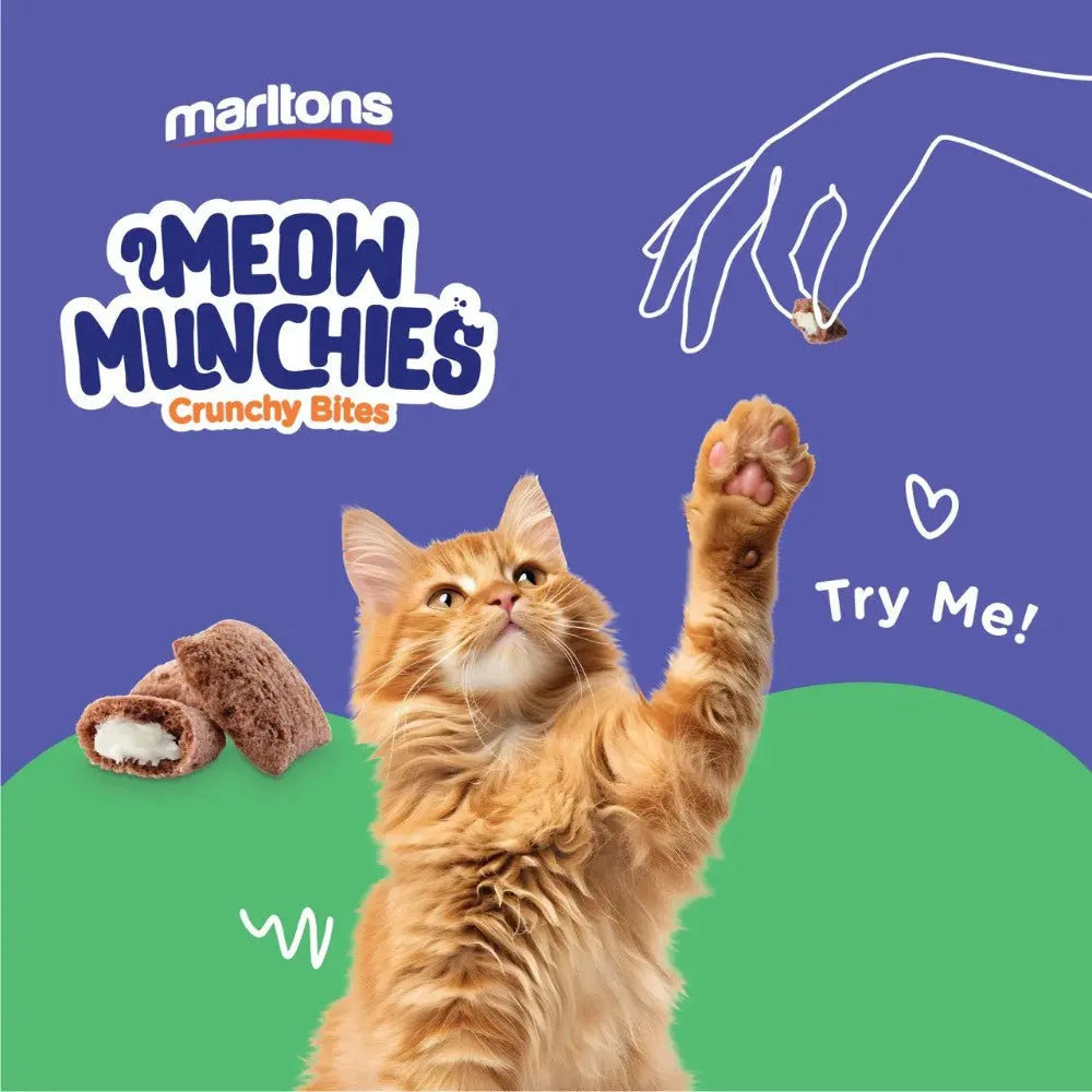 Cat reaching for Meow Munchies crunchy bites on a colorful background, showcasing tasty pet treats.