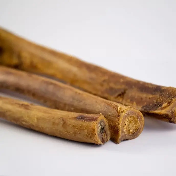 Mbuni Ostrich Wingbone Halves Close Up of Bones