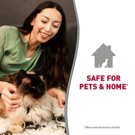 Woman enjoying time with a cat, promoting a pet-safe home environment.
