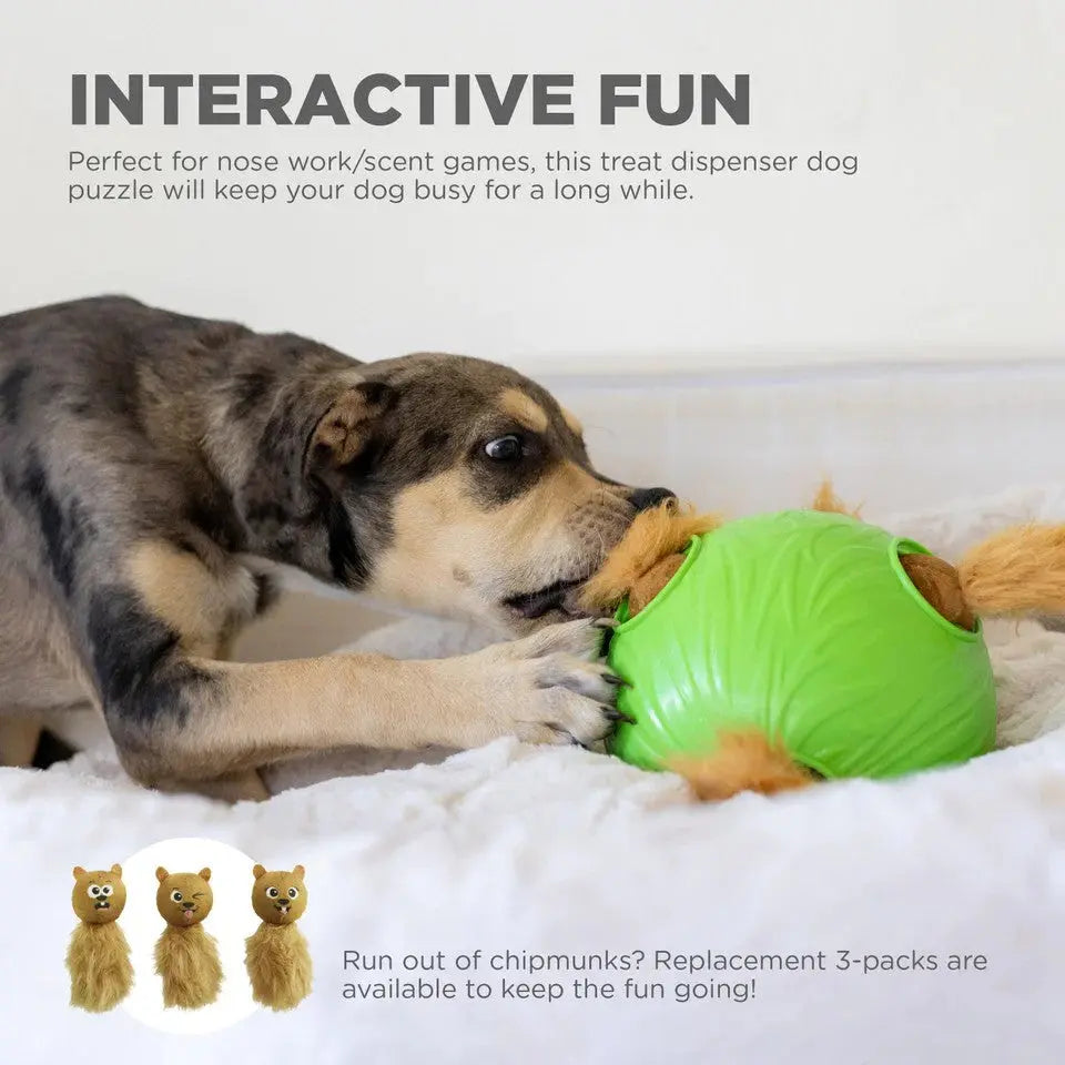Dog playing with a green interactive toy, engaging in scent games for mental stimulation.