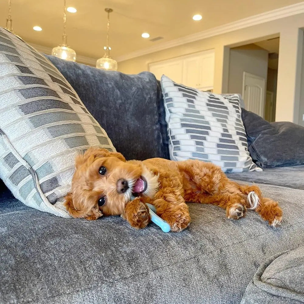 Playful puppy chewing a blue toy while lounging on a cozy gray sofa.