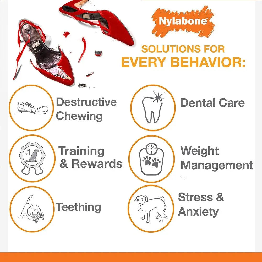Nylabone infographic highlighting solutions for dog behaviors like chewing, dental care, and anxiety management.