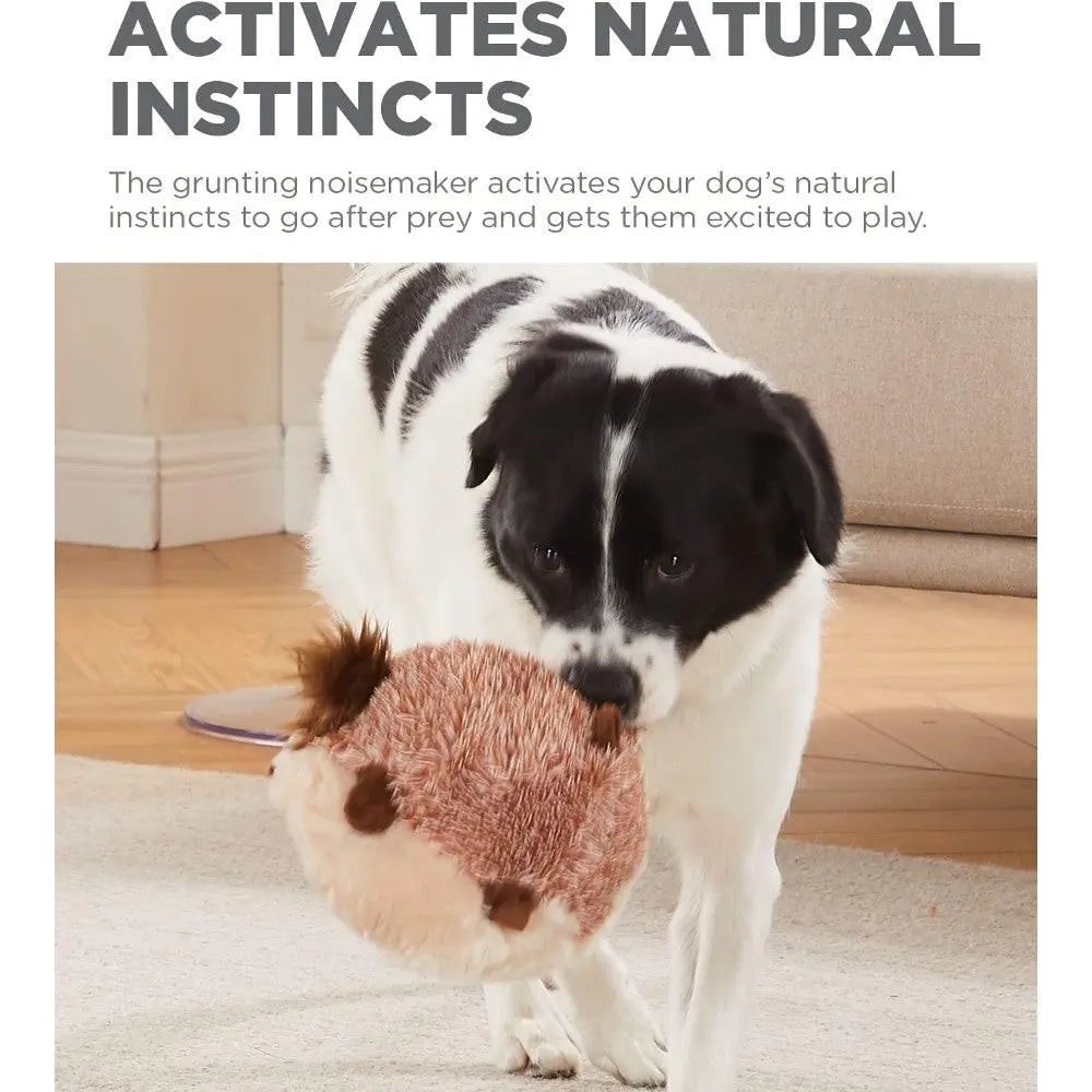 Dog playing with a grunting toy that stimulates natural instincts and encourages active play.