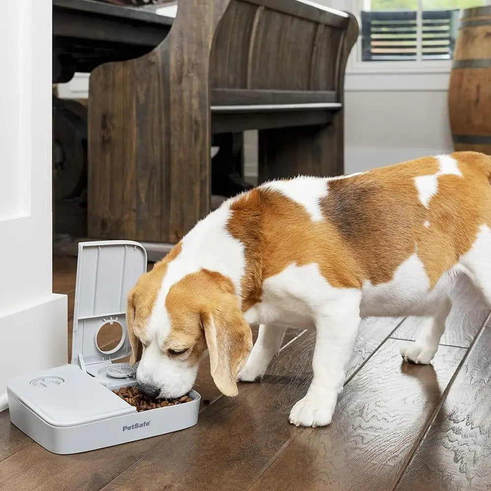 PetSafe 2 Meal Pet Feeder   | Low Prices | Canine & Co