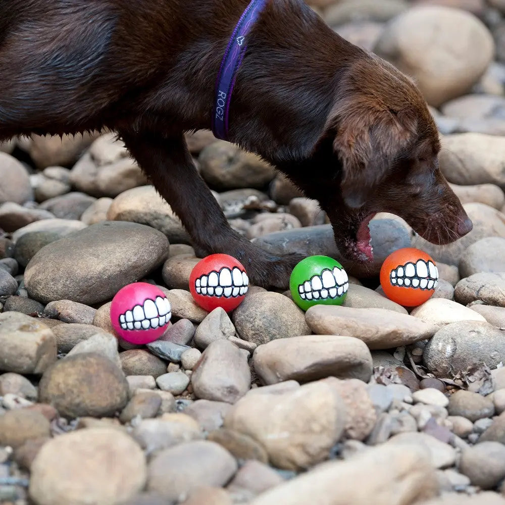 Rogz Ballz Grinz Dog Ball Toy   | Low Prices | Canine & Co