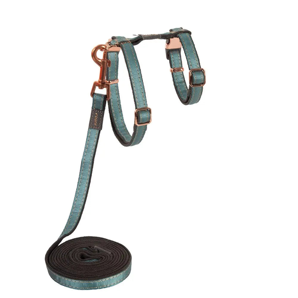 Dog harness and leash set in teal with rose gold accents for comfortable walks.