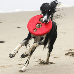 Rogz Dog Flyer RFO Lifestyle Image